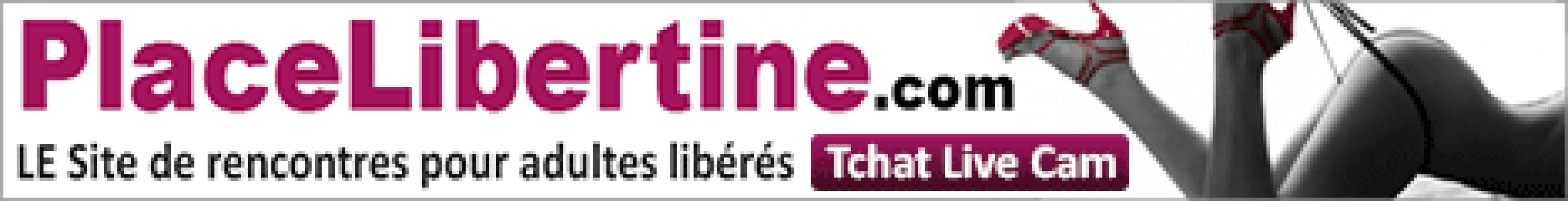 place libertne logo gratuit place libertne logo gratuit